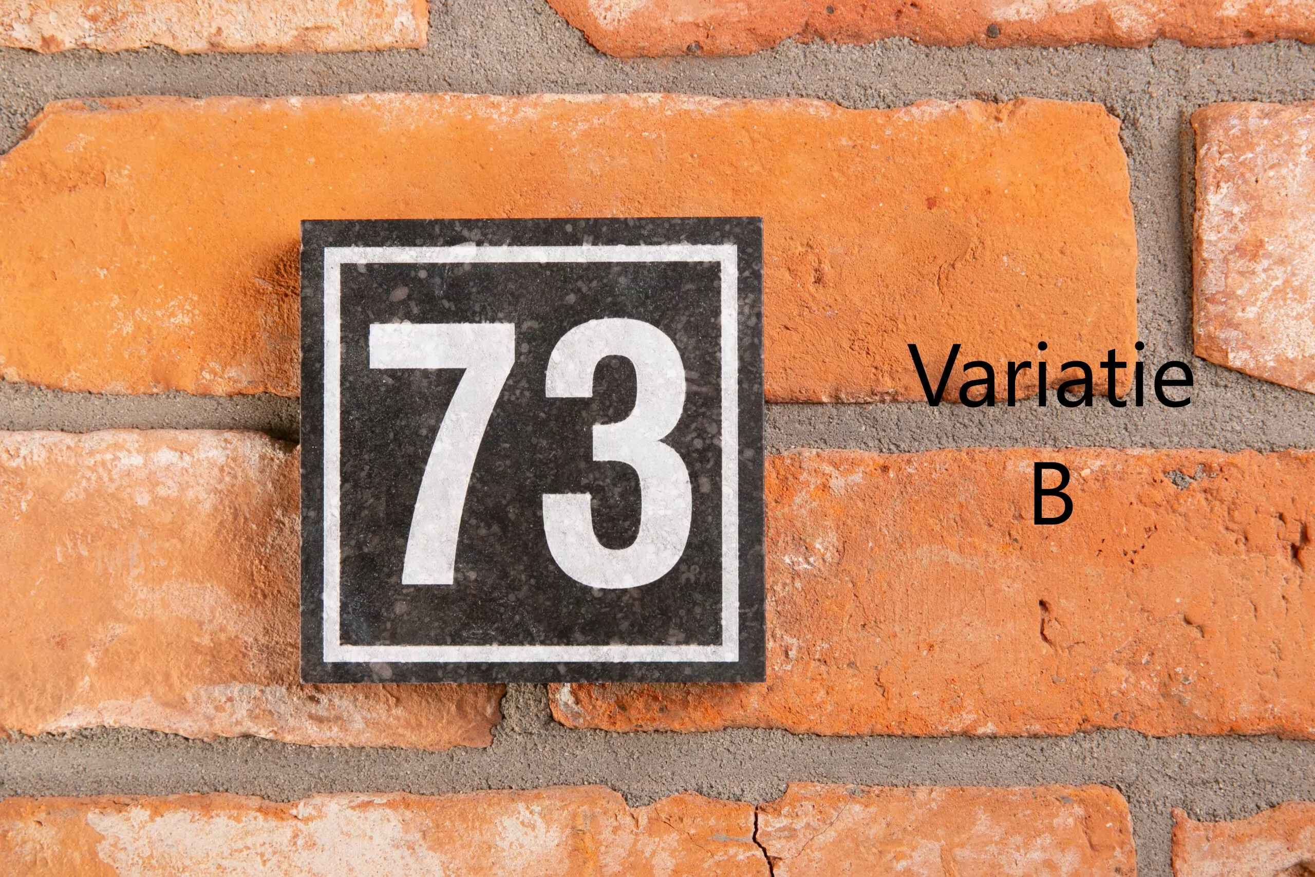 Variatie B